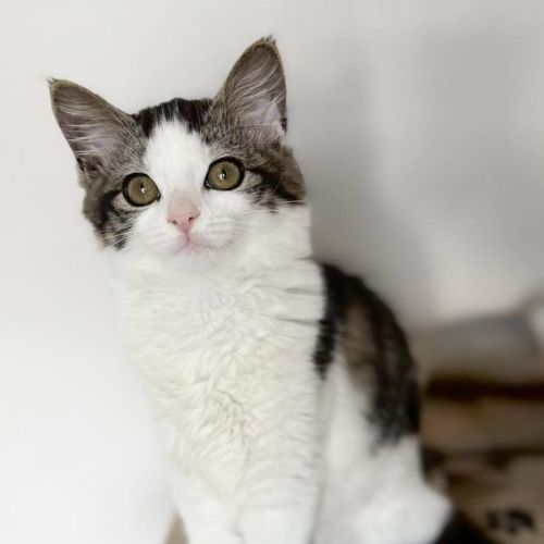 🧚Elfina🧚‍♂️