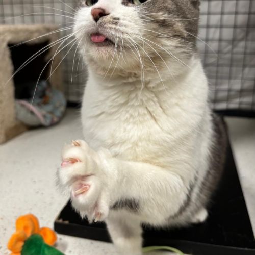 No photo for Mimi