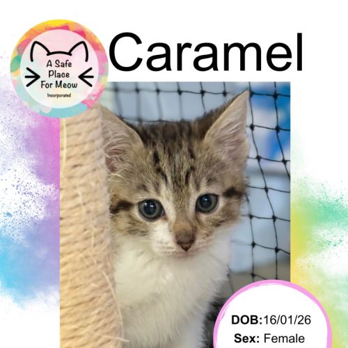 Caramel