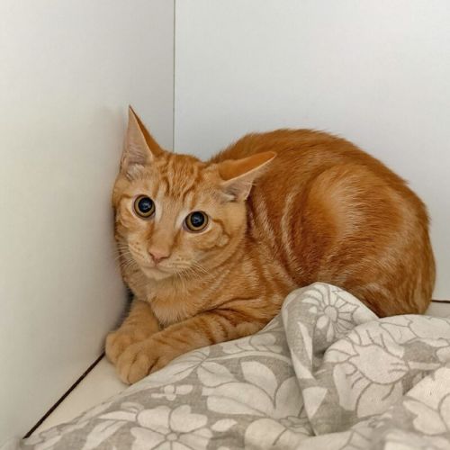 No photo for Maverick