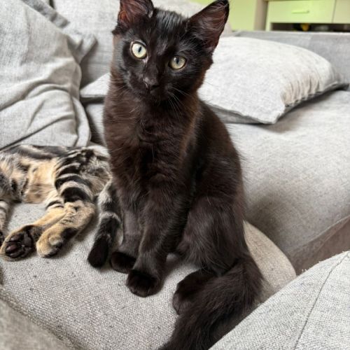 No photo for Jiji