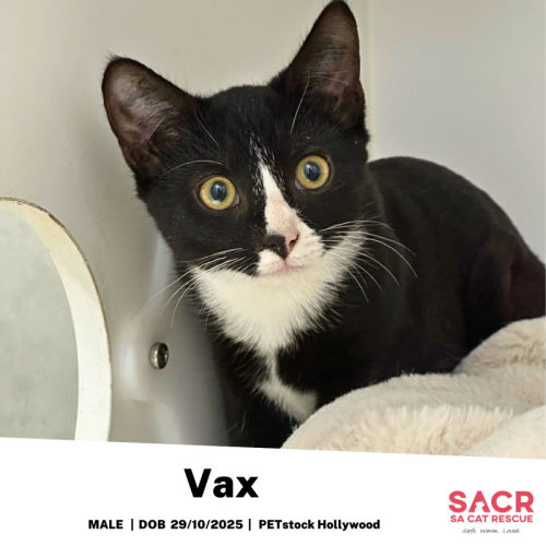 Vax