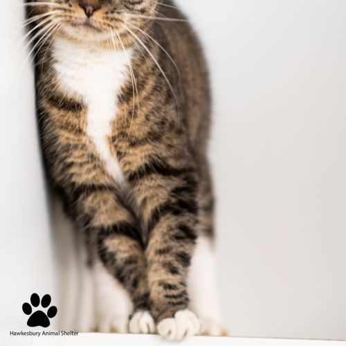 No photo for Tiggy