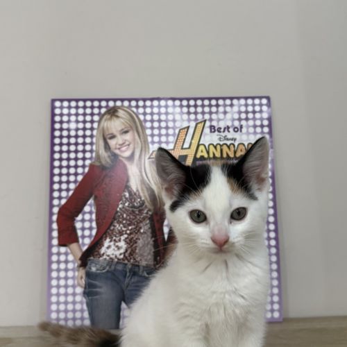 Hannah
