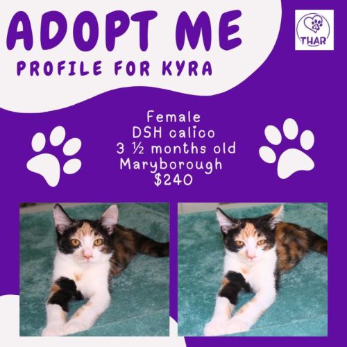 No photo for Kyra