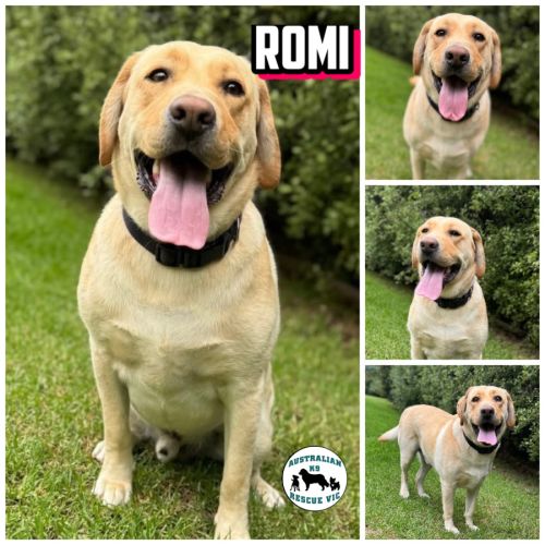 No photo for Roni