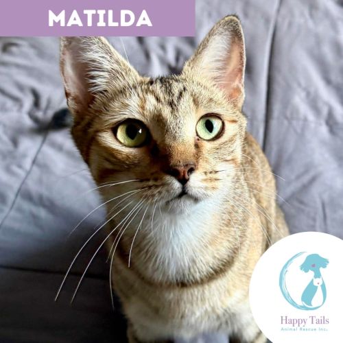 Matilda