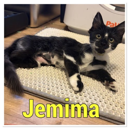 No photo for Jemima