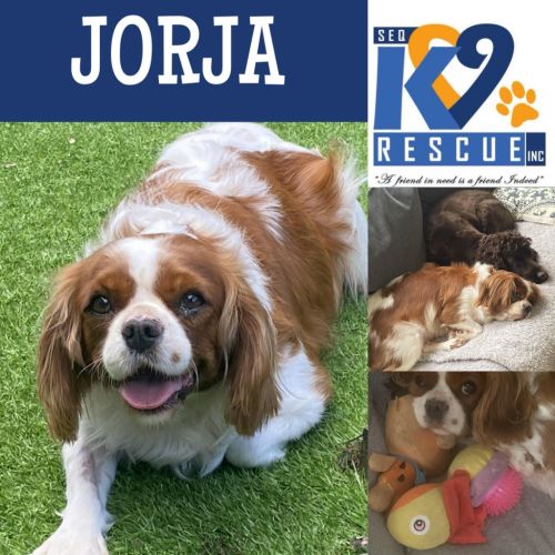 No photo for Jorja