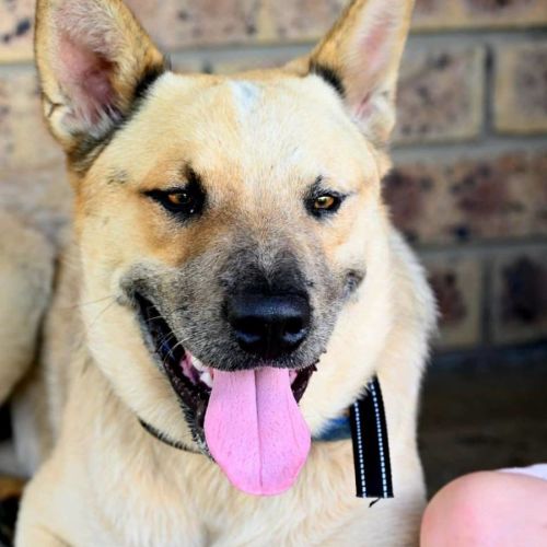 No photo for Buddy