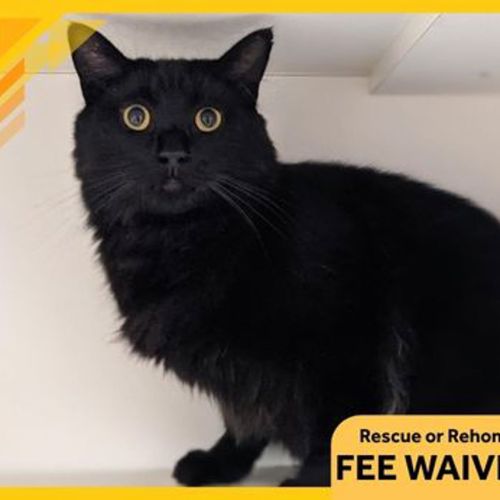 No photo for Lala