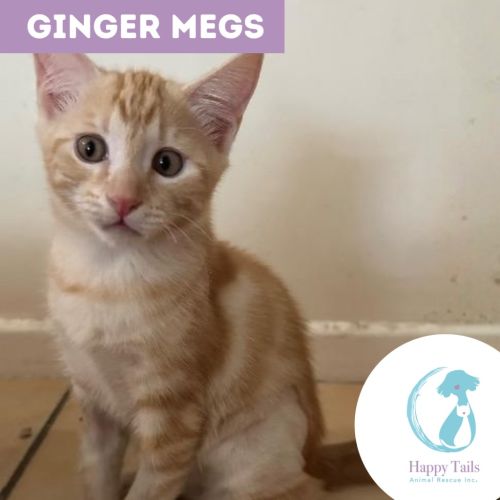 Ginger Megs