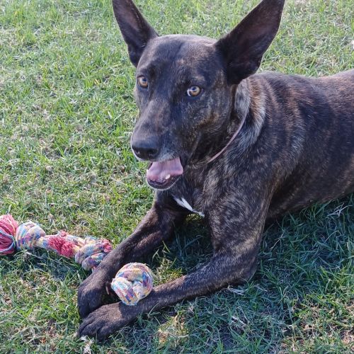 Ellie