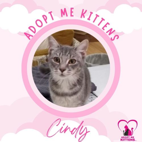Cindy
