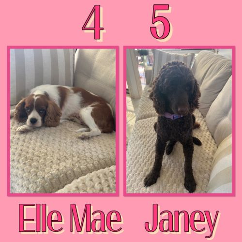 No photo for Elle & Jane