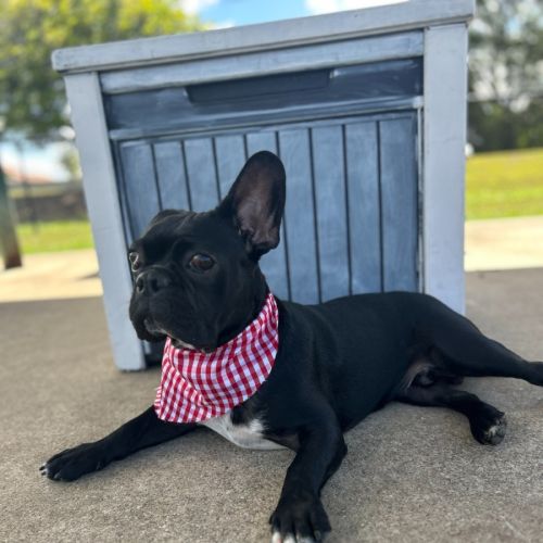 No photo for Winston