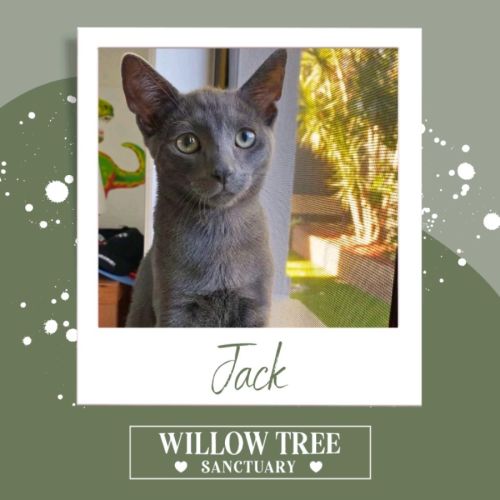 No photo for Jack