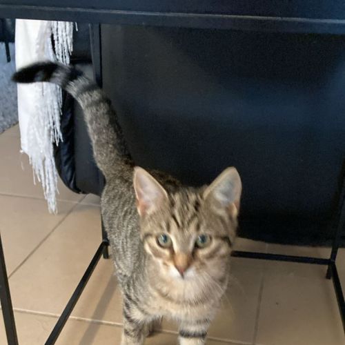 No photo for Mila