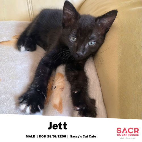 Jett