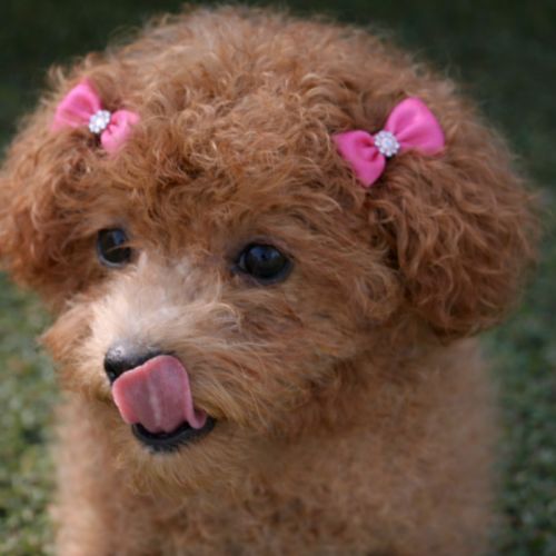 Esther
