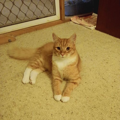 No photo for Charlie 