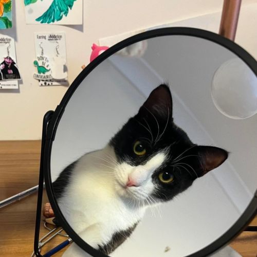 No photo for Maggie 