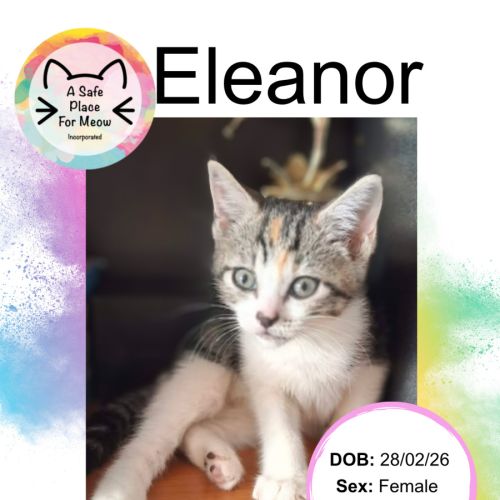 Eleanor