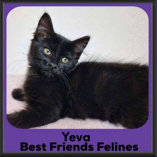 Yeva 