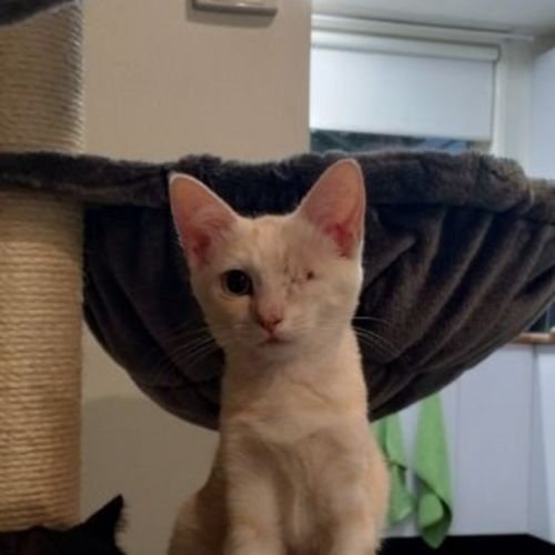 No photo for Polly