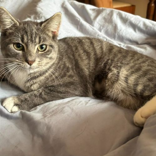Winifred