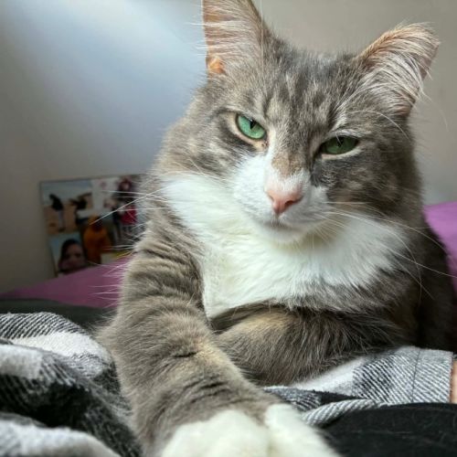 No photo for Sawyer