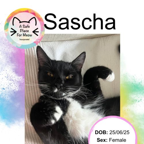No photo for Sascha