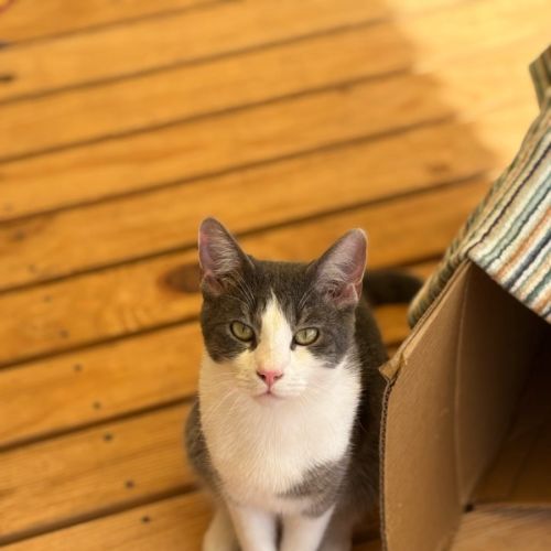 No photo for Larry