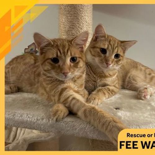 Larry
