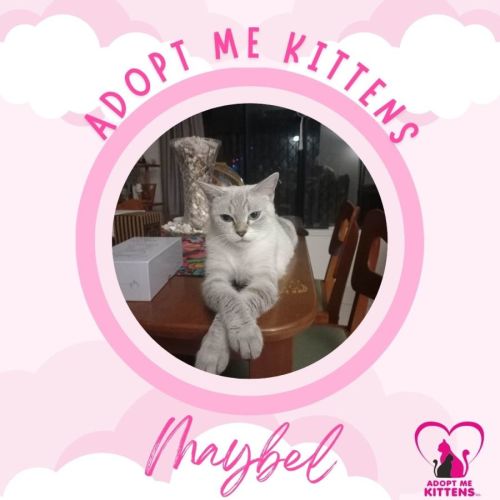 Maybel