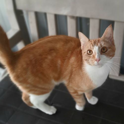 No photo for Harvey