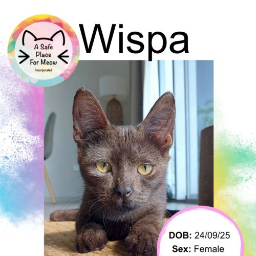 No photo for Wispa