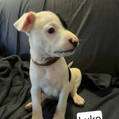 No photo for Luke