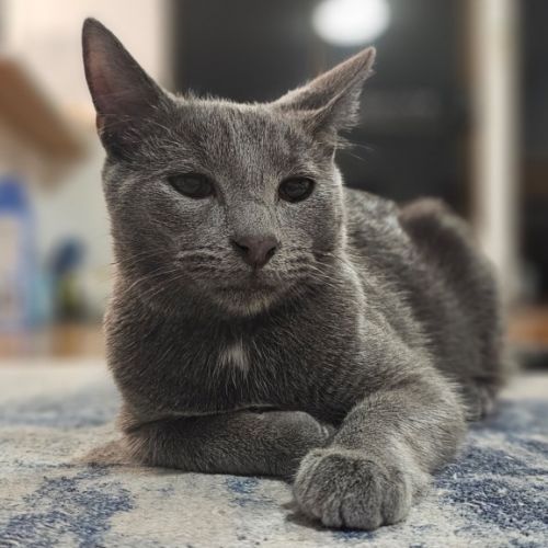 No photo for Harley
