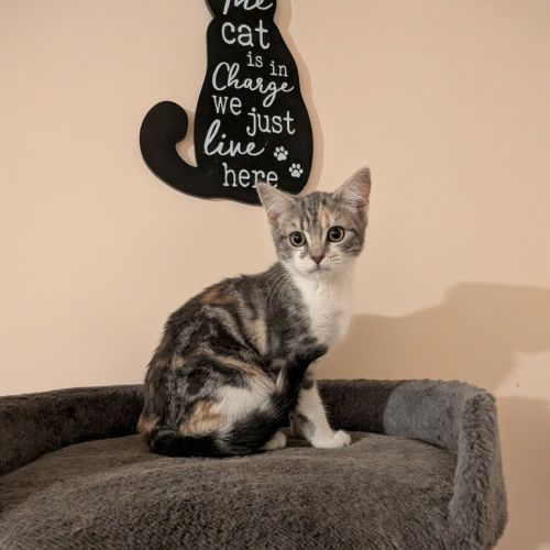 No photo for Mae