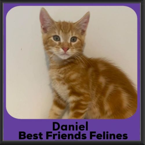 No photo for Daniel 