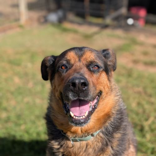 No photo for Max