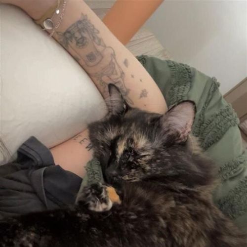 No photo for Pepper