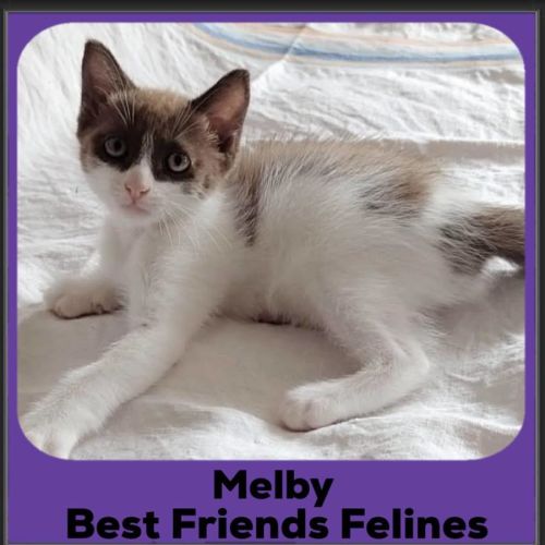 Melby