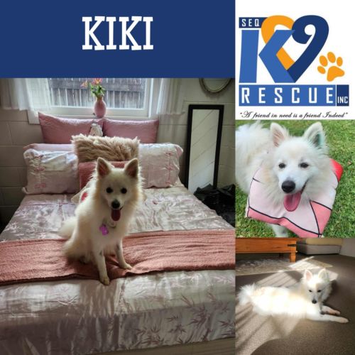 Kiki