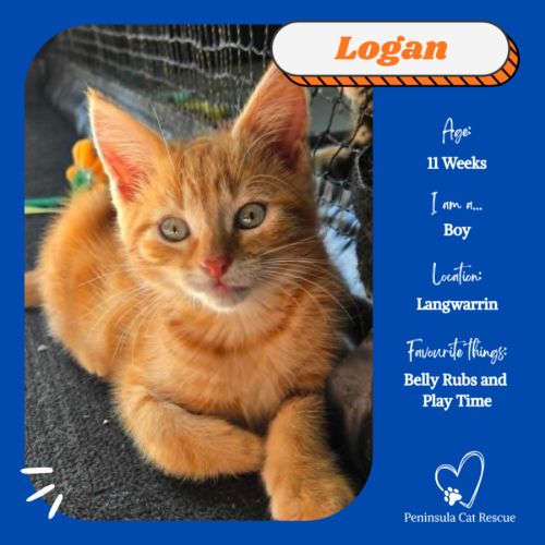 Logan