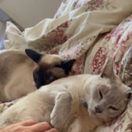 Mikki & Monty