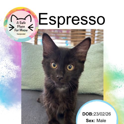 Espresso