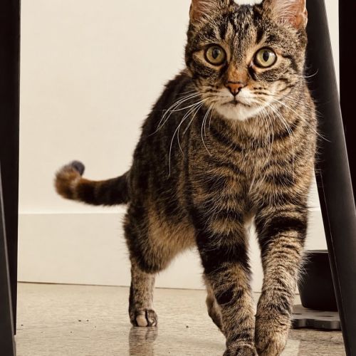 Zoe
