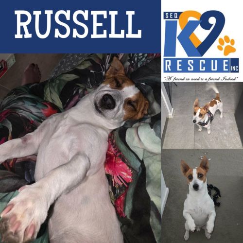 Russell